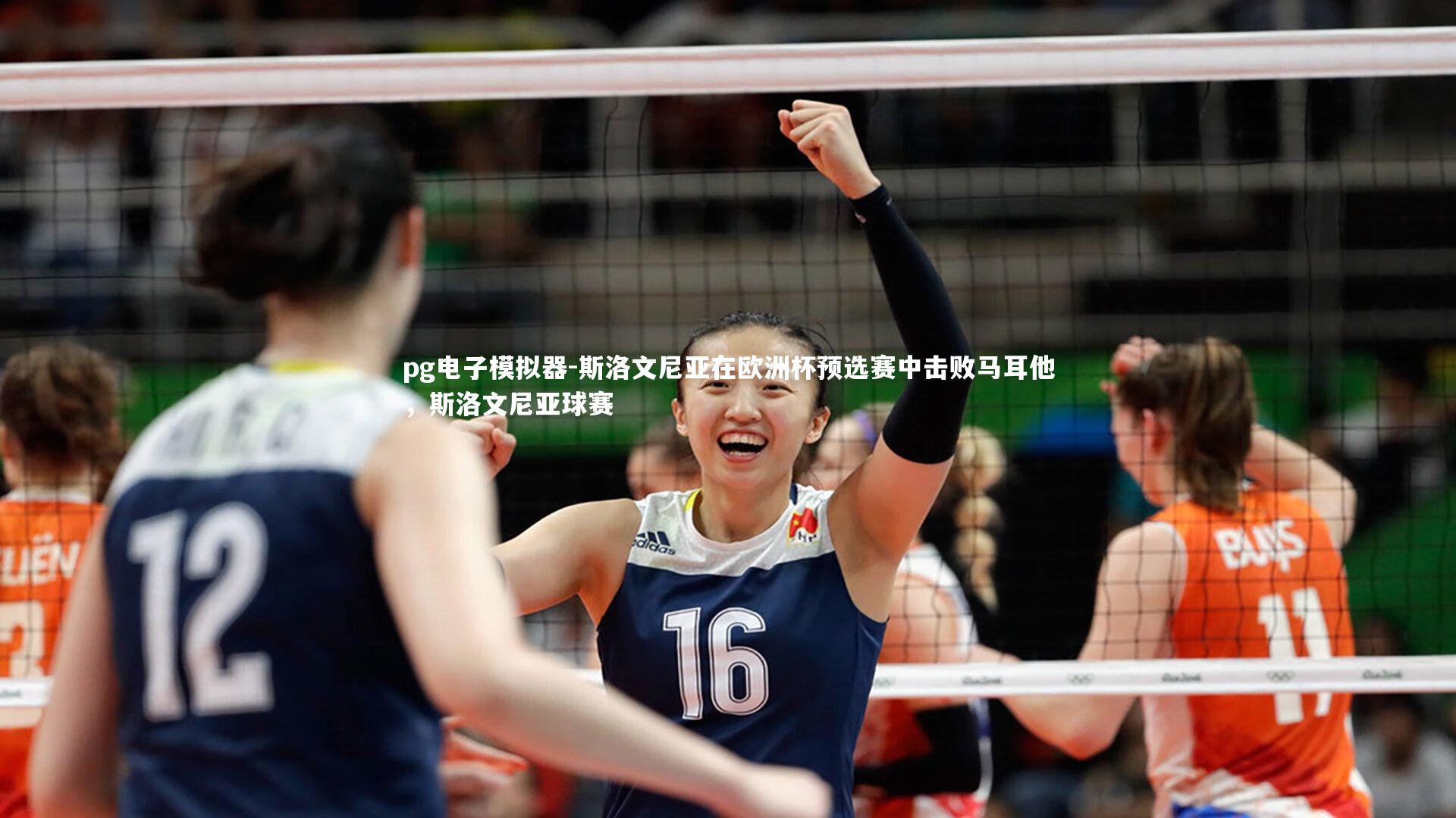 斯洛文尼亚在欧洲杯预选赛中击败马耳他,斯洛文尼亚球赛