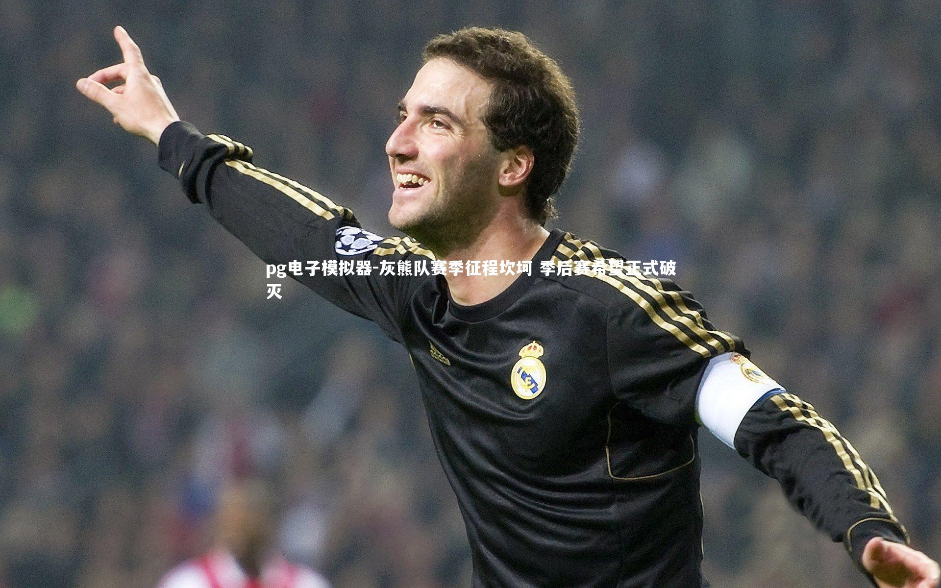 灰熊队赛季征程坎坷 季后赛希望正式破灭